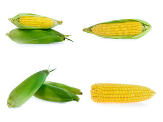 Corn collection isolated on white