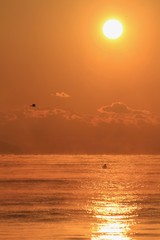 南伊豆　毛嵐が発生した弓ヶ浜の朝日