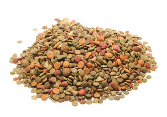 bones and colorful sticks for dog treat with vitamin and oral health on white background