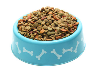 bones and colorful sticks for dog treat with vitamin and oral health on white background