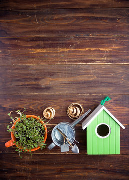 Green birdhouse, sprouts of mini green in cup, watering can and bamboo biodegradable fork and knife made of natural eco recycle reusable material on wood