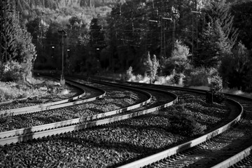Bahngleise Eisenbahn Schienen Strecke Kurve Sommer Sonne Vegetation Natur Unkraut wuchern...