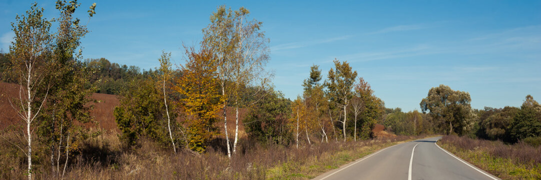Sunny autumn road through a dry field. Wide image
