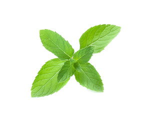 mint leaves isolated isolated on white