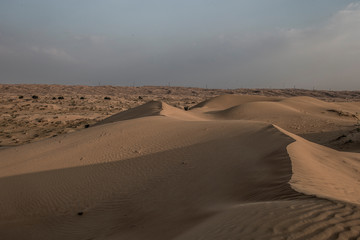 Fototapeta na wymiar The Desert, Ras al Khaimah, UAE