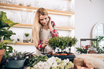 flowers lover, young caucasian florist woman look after and take care of plants, wearing white apron on red checkered shirt, surrounded by green plants, flora and botany concept