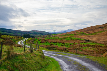 Country Road in Ireland