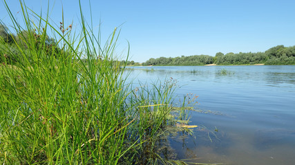 beautiful summer landscape with a river