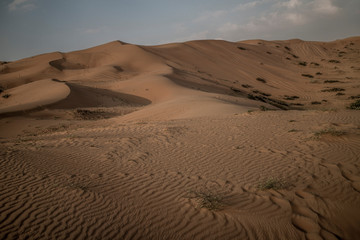 The Desert