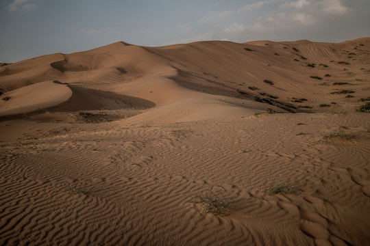The Desert