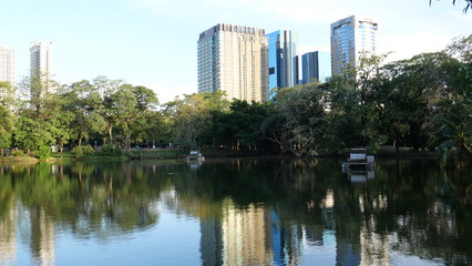 public park and city buildings