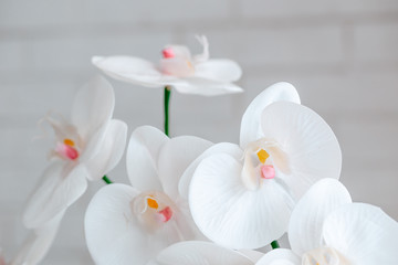 White orchid flowers. Artificial flower on a background of a white brick wall. Concept background image with flowers for an inscription.