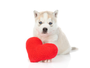 Husky puppy hugs a plush heart. Isolated on a white background