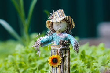 Toy scarecrow in the garden on a green background