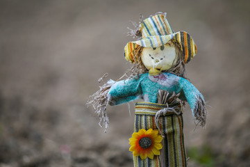 Toy scarecrow on freshly plowed and sown land