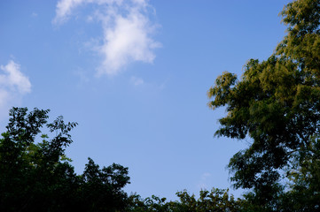 The sky and the bright clouds in the morning of every day
