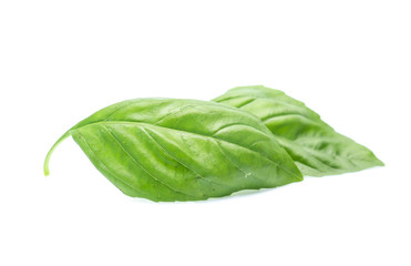 Close up green basil herb leaves isolated on white background.