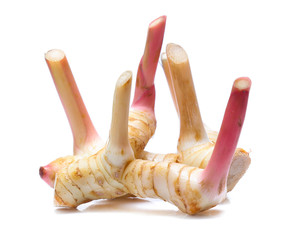 Fresh slices galangal rhizomes isolated on white background