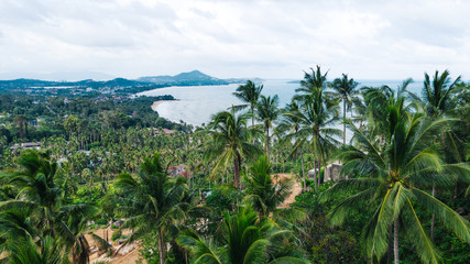 Fototapeta na wymiar Aerial scenery view beautiful slope with lush palm trees. Bird's eye panoramic view of picturesque lagoon of populated Asian island in Thailand