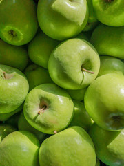 Many freshly picked green apples under sunlight