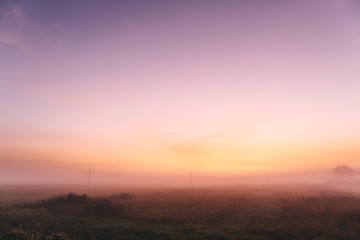 Early morning in a field with a pink dawn and shrouded haze of mist, a mesmerizing mysticism of nature
