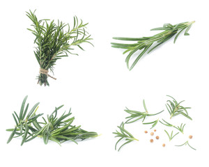 Obraz premium rosemary isolated on white background (Mix, set , collection)