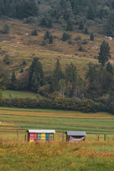 Beehouse in the field