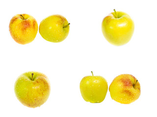 set of yellow apples isolated