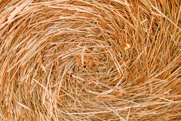 background of straw