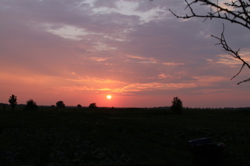 Obraz premium sunset in park