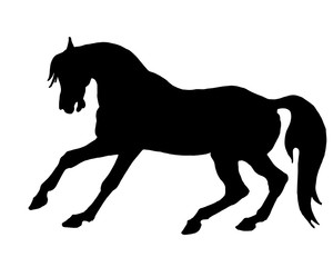 Fototapeta na wymiar horse, black silhouette on white background, isolated monochrome image