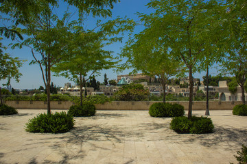 city park square promenade landscaping environment space alley way with decorative trees in bright colorful day time