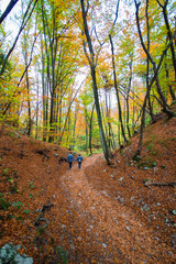 Autumn in the forest with two people