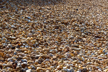 looking out over a large expanse of smooth, mostly brown river stones form this background image.