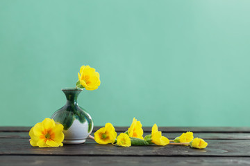 yellow primroses in vase on wooden table