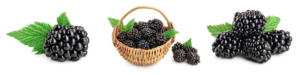 blackberry with leaf isolated on a white background closeup. Set or collection