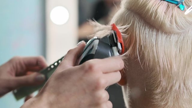 The hairdresser cuts blonde female client with a trimmer. A short pixie haircut and shaved temples . Ornament on the hair.