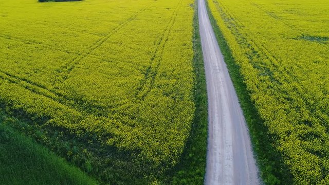 Aerial view of Laeste, Rapla County, Estonia