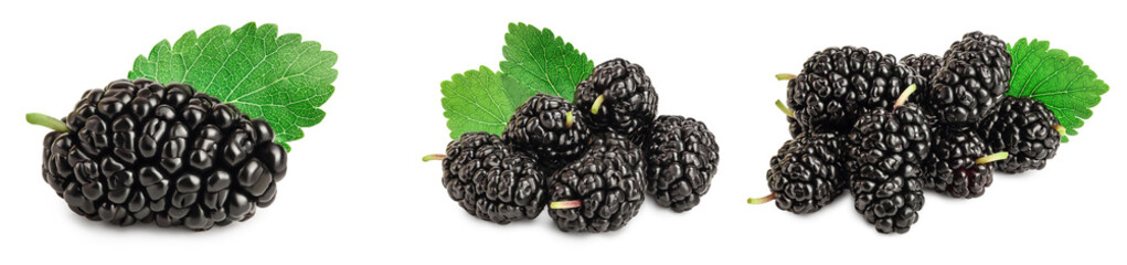 Mulberry with leaf isolated on white background. Set or collection