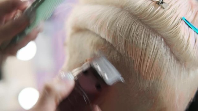 The hairdresser cuts blonde female client with a trimmer. A short pixie haircut and shaved temples . Ornament on the hair.