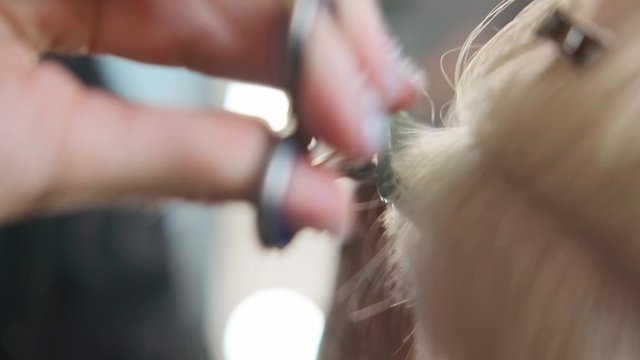 The hairdresser cuts dyed hair female client with scissors. A short pixie haircut and shaved temples . Ornament on the hair.