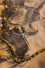 Aerial drone landscape of famous Tuscany hills, Italy. Abstract view of curved serpentine road with cypress alley. Empty agricultural fields in autumn in golden orange colours. San Quirico d'Orcia.