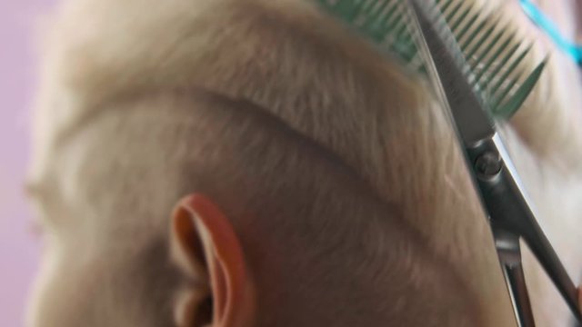The hairdresser cuts dyed hair female client with scissors. A short pixie haircut and shaved temples . Ornament on the hair.