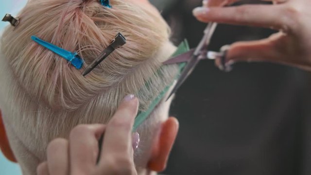 The hairdresser cuts dyed hair female client with scissors. A short pixie haircut and shaved temples . Ornament on the hair.