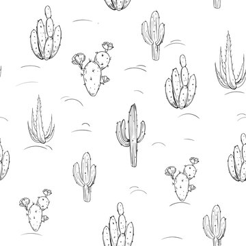 Seamless pattern with cacti and flowers. Hand drawn sketches converted to vector