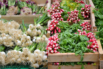 Vegetables market. Onion and radish.
