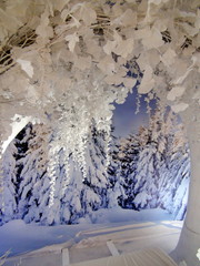 Shopping malls in the modern city give their customers the opportunity to take pictures on the background of an artificial snow-covered fairy-tale forest.