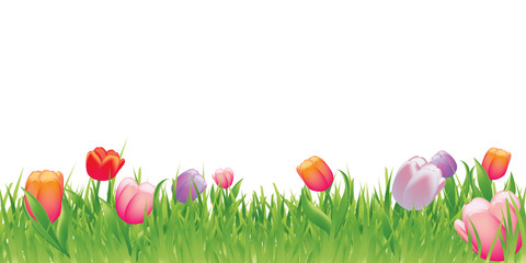 Spring illustration background