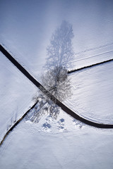lines VI