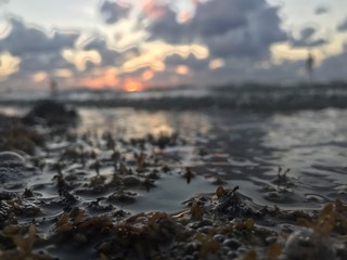 sunset over the sea